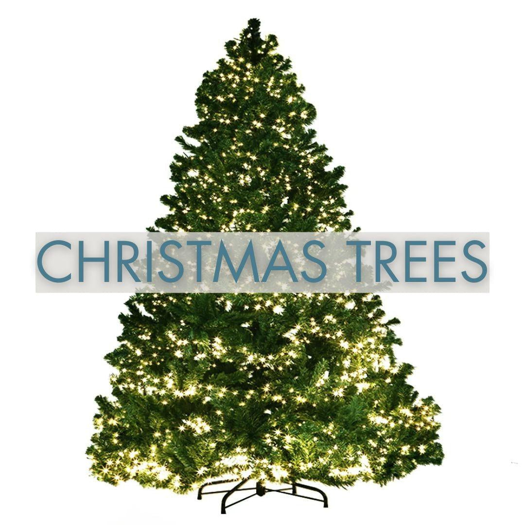 Christmas Trees-Vivify Co.