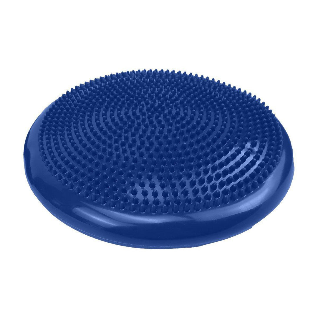 Powertrain Stability Disc with Pump - Blue-Vivify Co.