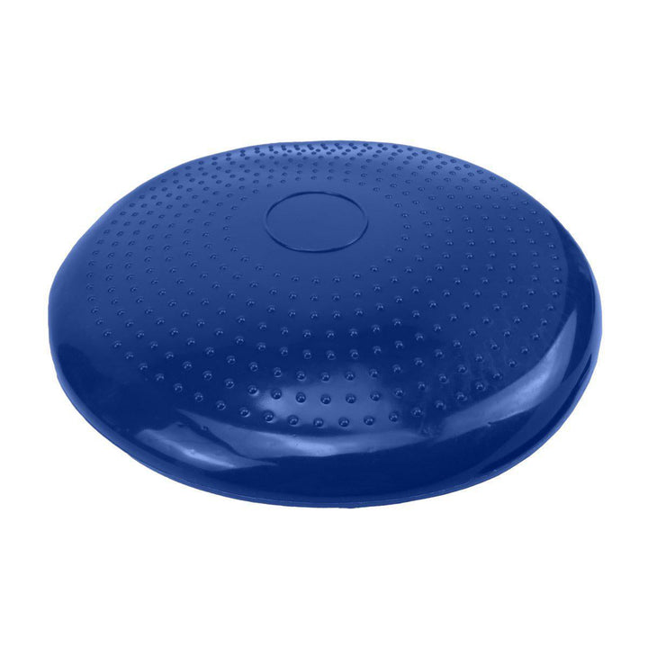 Powertrain Stability Disc with Pump - Blue-Vivify Co.