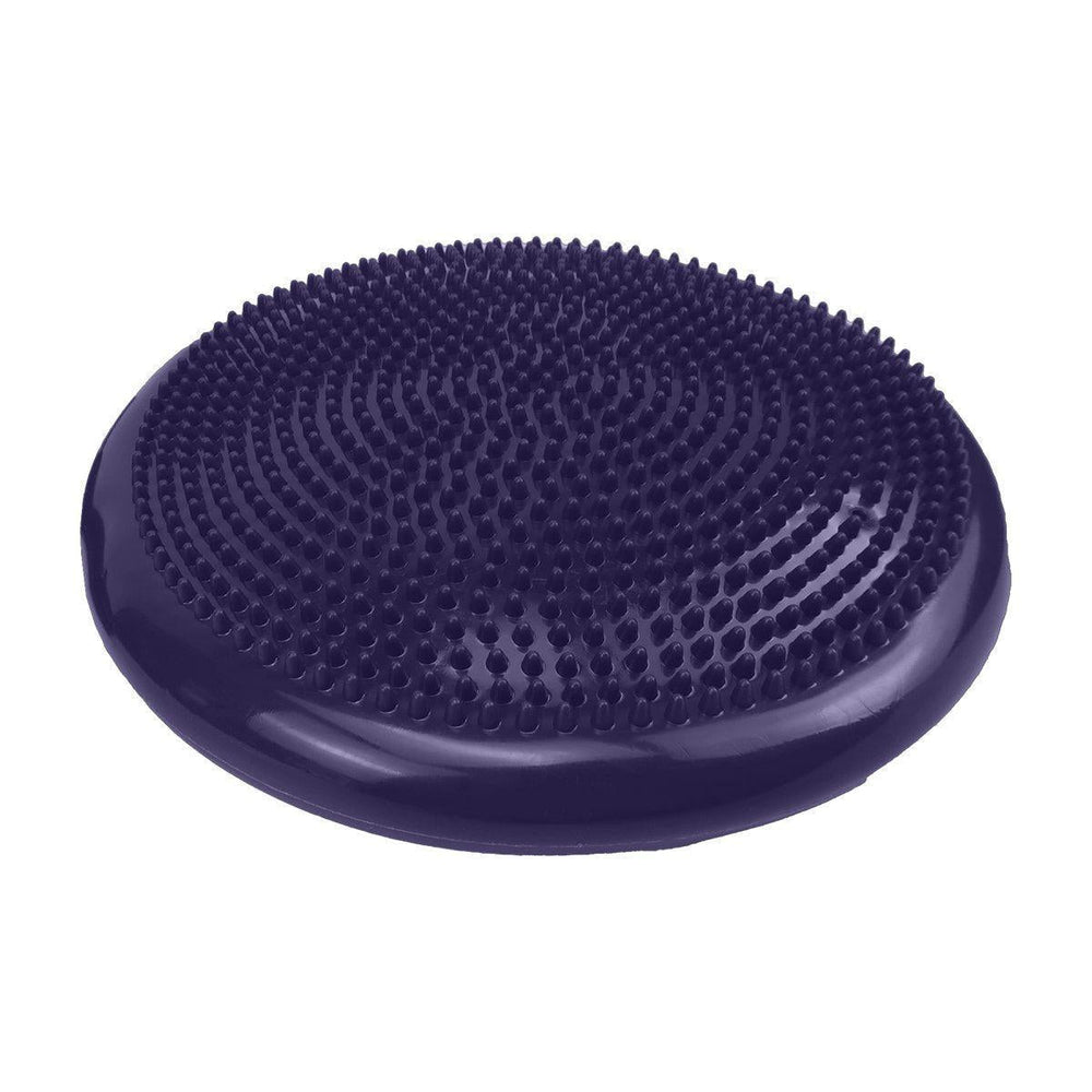 Powertrain Stability Disc with Pump - Purple-Vivify Co.