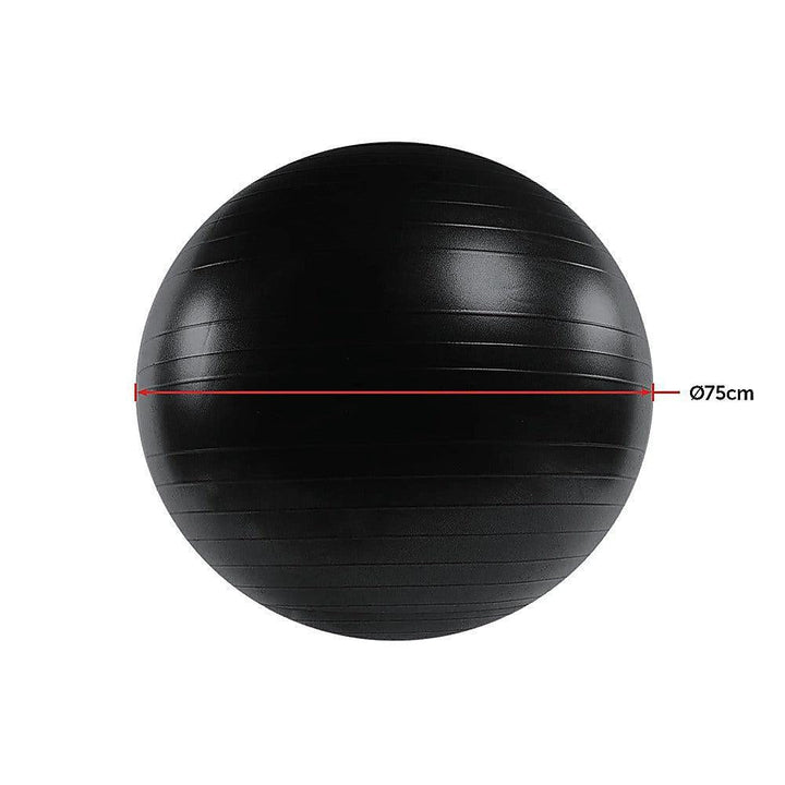 RTM 75cm Yoga Ball - Black-Vivify Co.